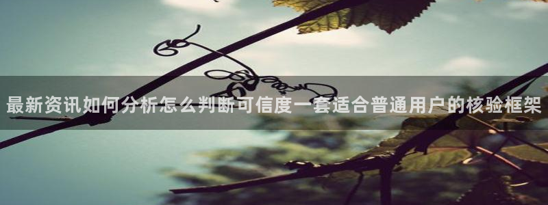 91吃瓜网络热搜：最新资讯如何分析怎么判断可信度一套适合普通用户的核验框架