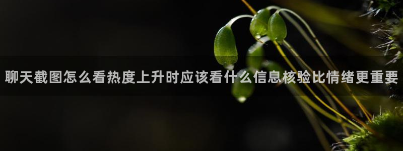 吃瓜在线观看网站：聊天截图怎么看热度上升时应该看什么信息核验比情绪更重要