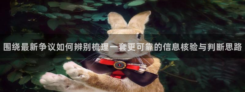 91吃瓜在线观看网页入口:围绕最新争议如何辨别梳理一套更可靠的信息核验与判断思路