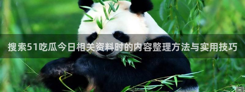 吃瓜今日资讯:搜索51吃瓜今日相关资料时的内容整理方法与实用技巧