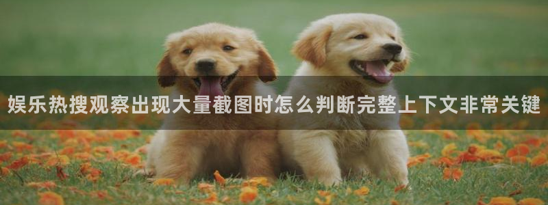 吃瓜网址大全：娱乐热搜观察出现大量截图时怎么判断完整上下文非常关键